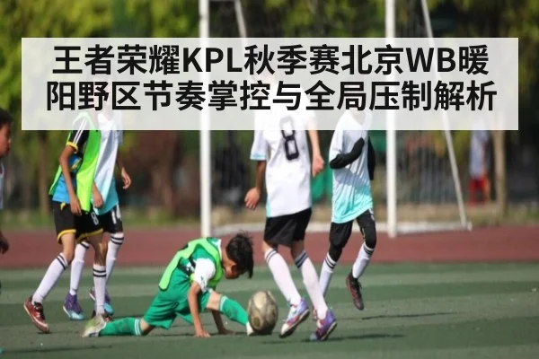 王者荣耀KPL秋季赛北京WB暖阳野区节奏掌控与全局压制解析