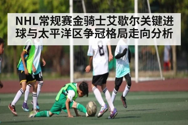 NHL常规赛金骑士艾歇尔关键进球与太平洋区争冠格局走向分析